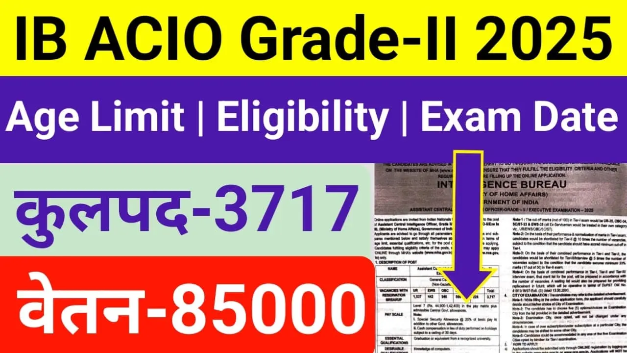 ACIO IB Executive Recruitment 2025